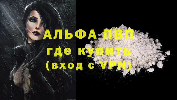 молекула духа Покров