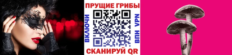 Псилоцибиновые грибы прущие грибы  купить наркотики сайты  Камбарка 